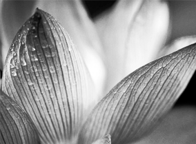 【秒开】极速的网页攻击器